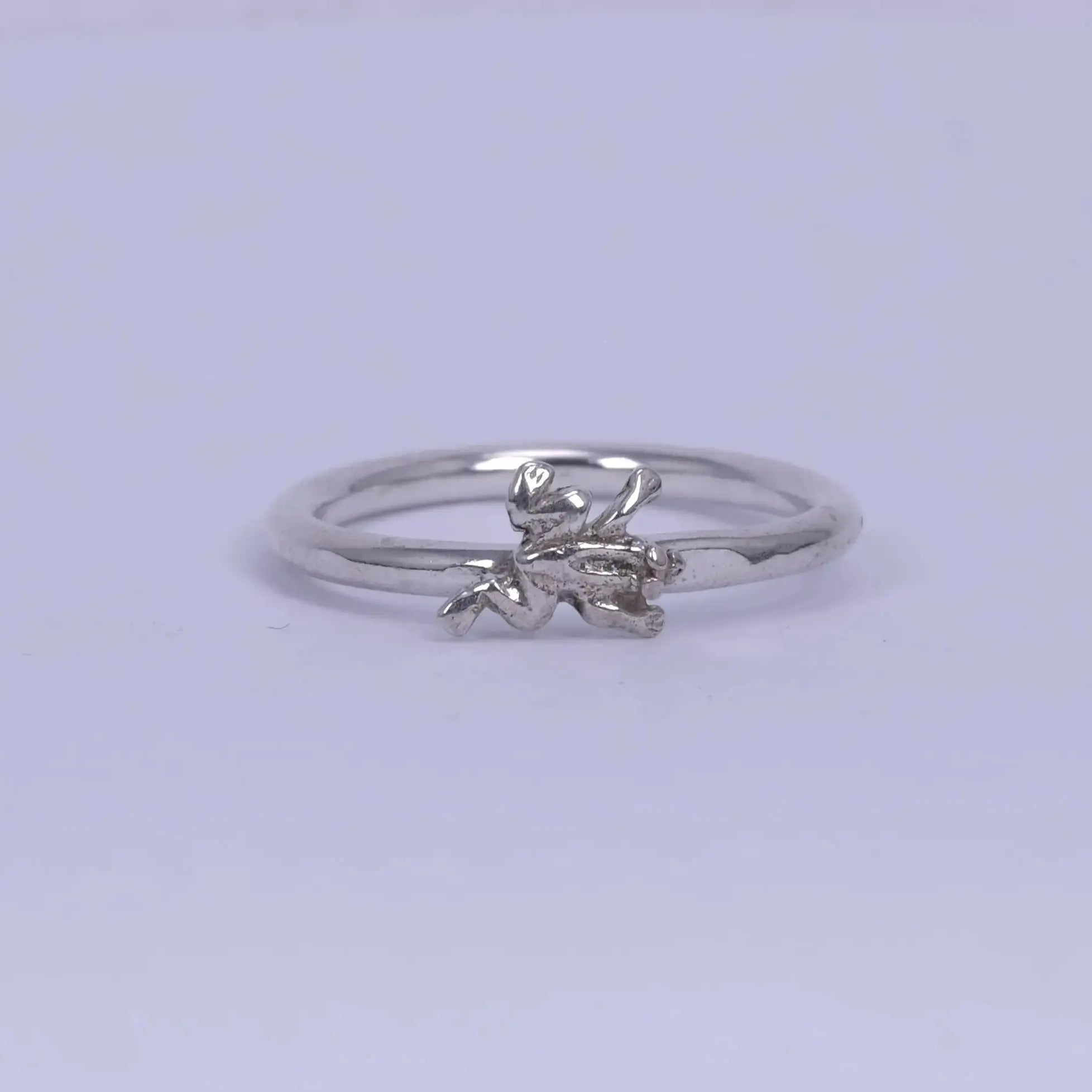 2mm Groda -ring L8Hasselblad