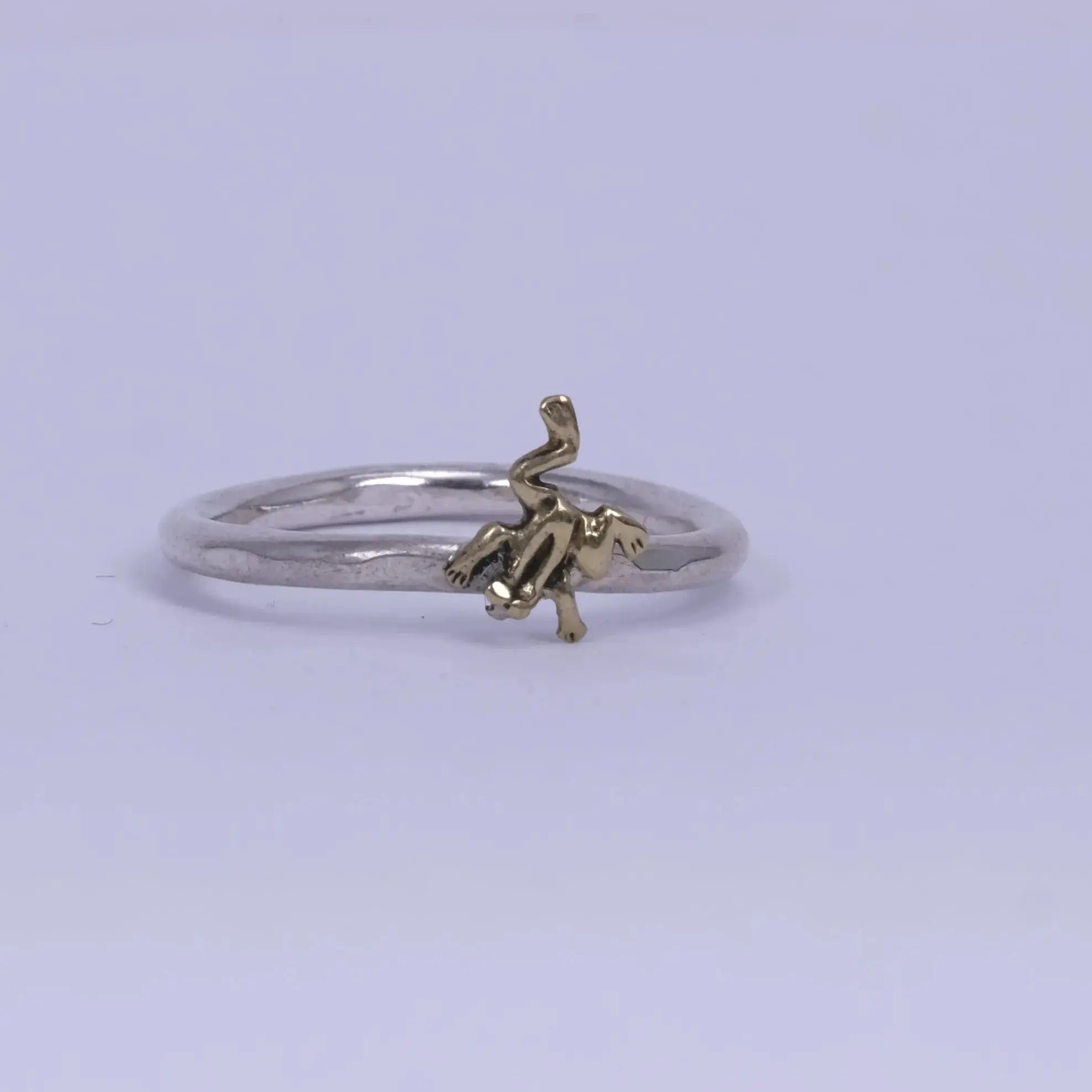 2mm Groda -ring L8Hasselblad
