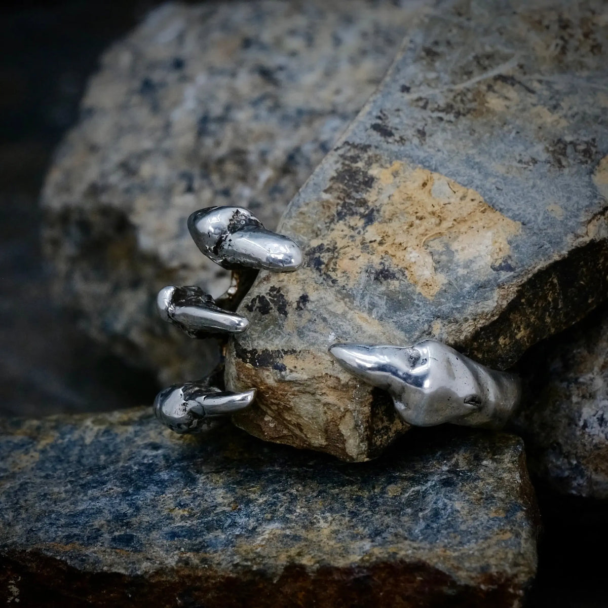 4 Claws - Ring L8Hasselblad