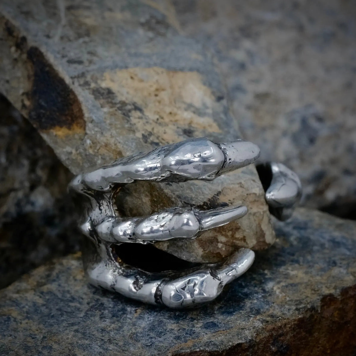 4 Claws - Ring L8Hasselblad