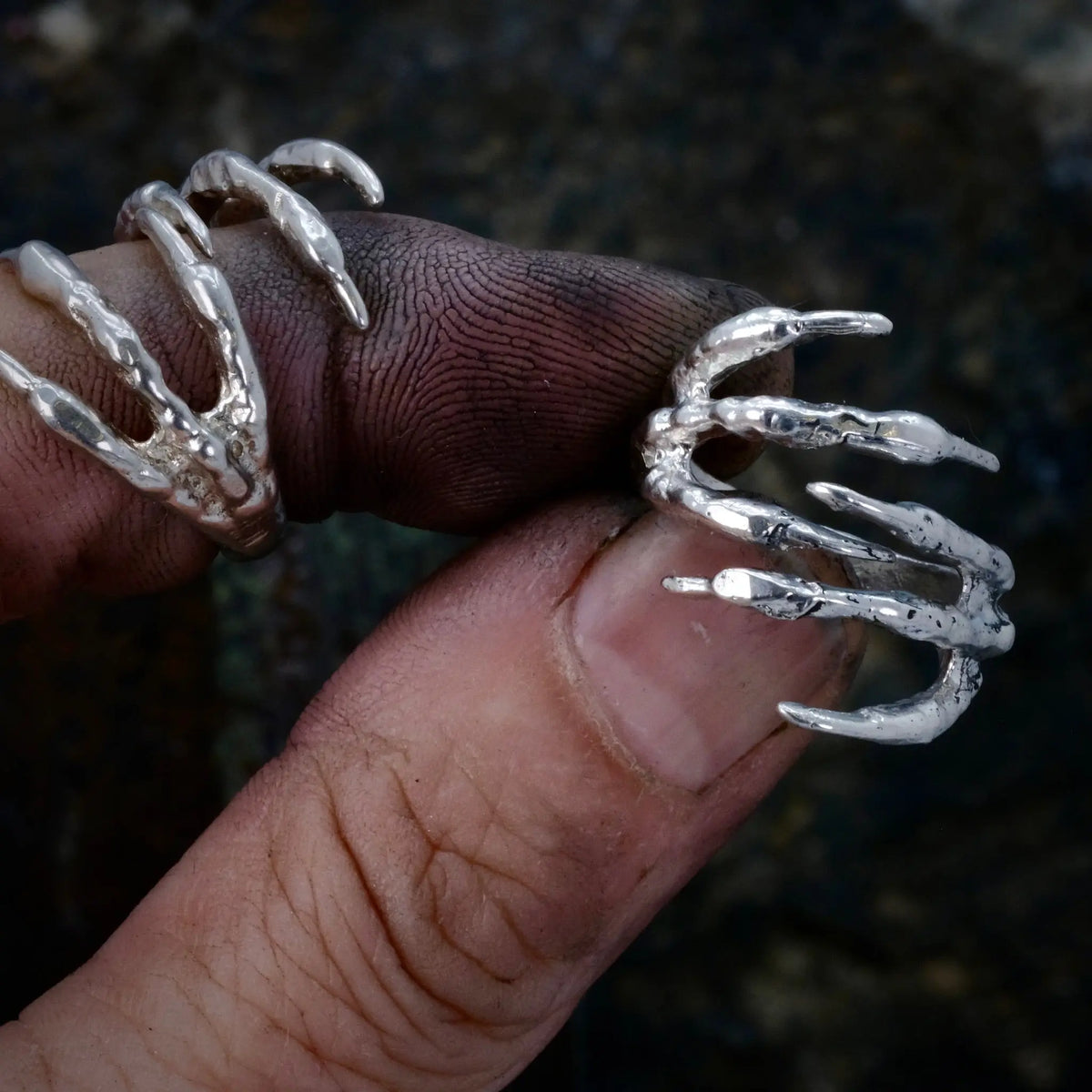 6 Claws - Ring L8Hasselblad