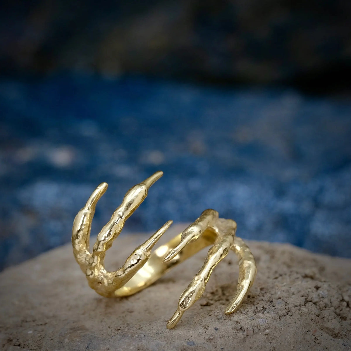 6 Claws - Ring L8Hasselblad