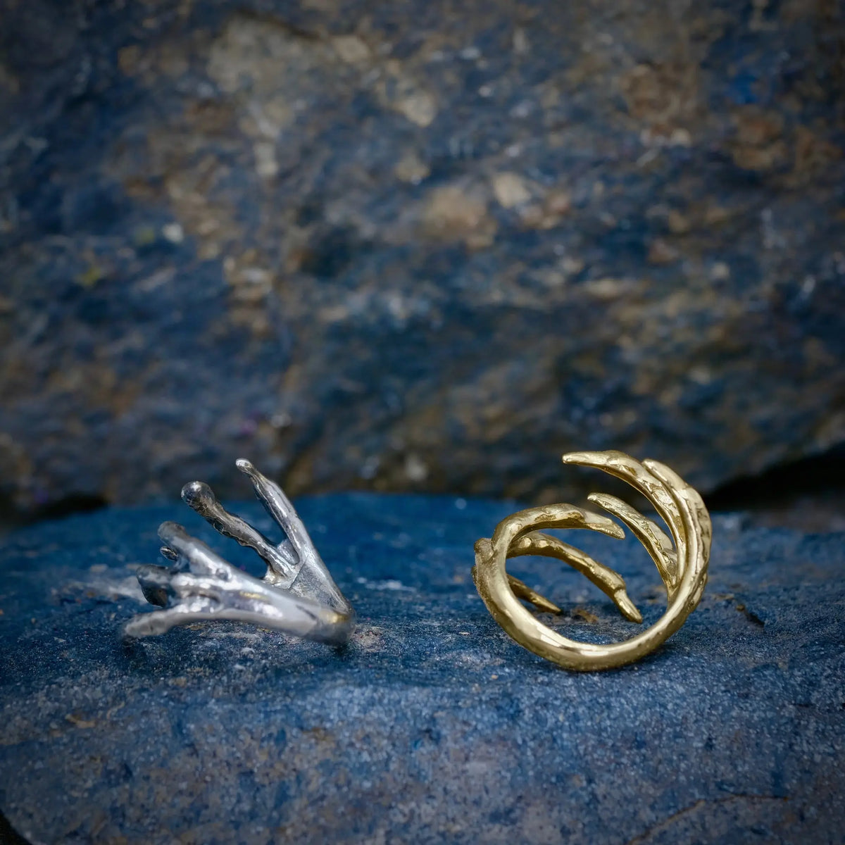6 Claws - Ring L8Hasselblad