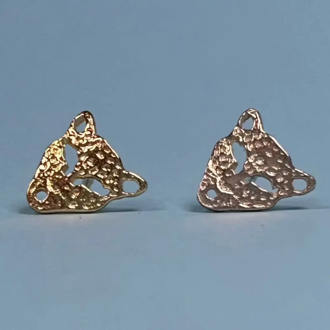 Stiftörhänge - Tiger L8Hasselblad