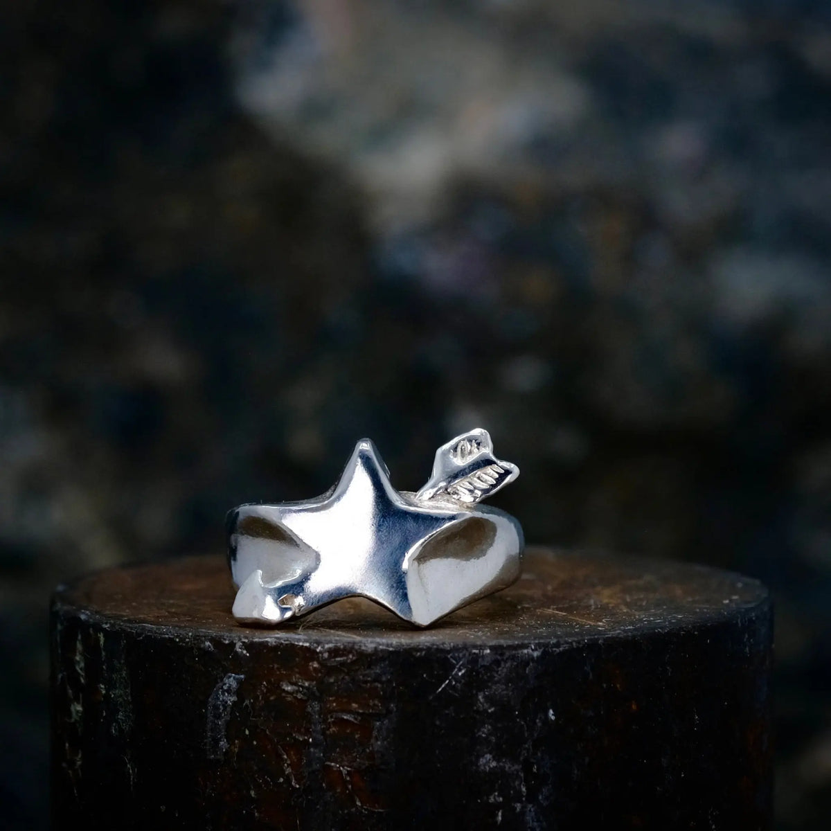 A Wishing Star - Ring L8Hasselblad