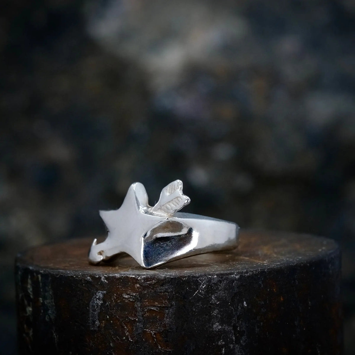 A Wishing Star - Ring L8Hasselblad