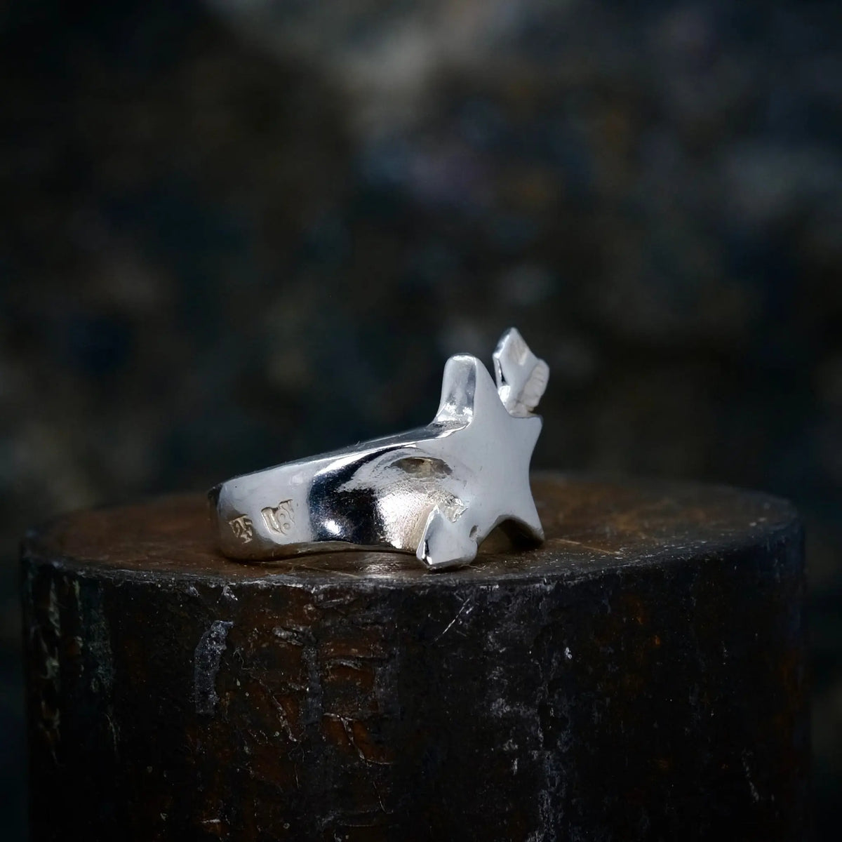 A Wishing Star - Ring L8Hasselblad