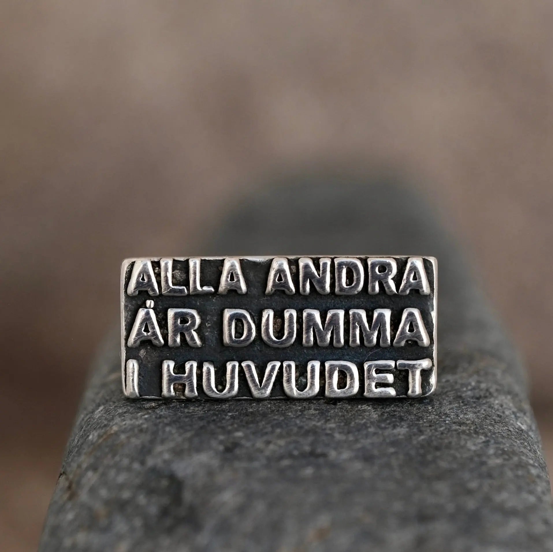 Alla andra är dumma i huvudet - Ring L8Hasselblad