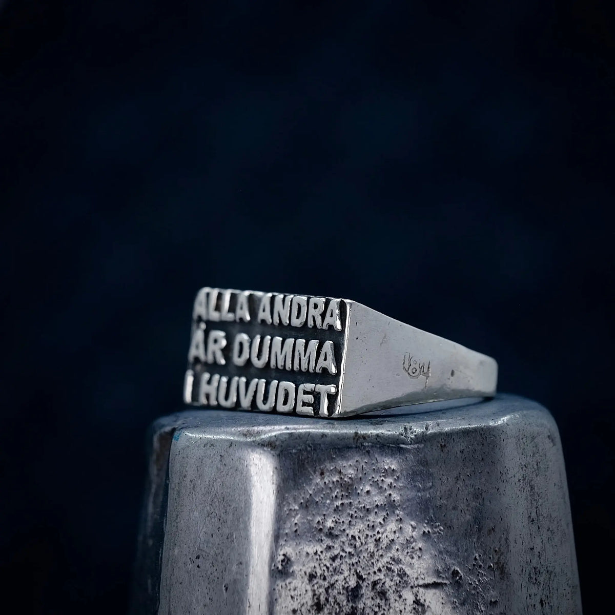 Alla andra är dumma i huvudet - Ring L8Hasselblad