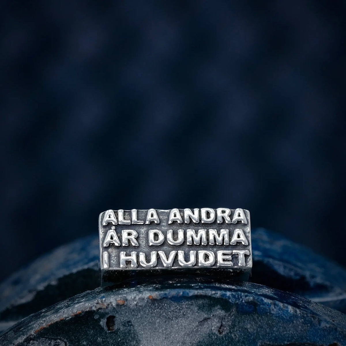 Alla andra är dumma i huvudet - Ring L8Hasselblad