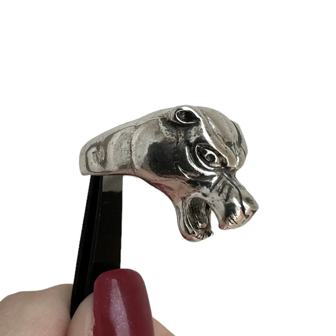 Björn ring - L8Hasselblad