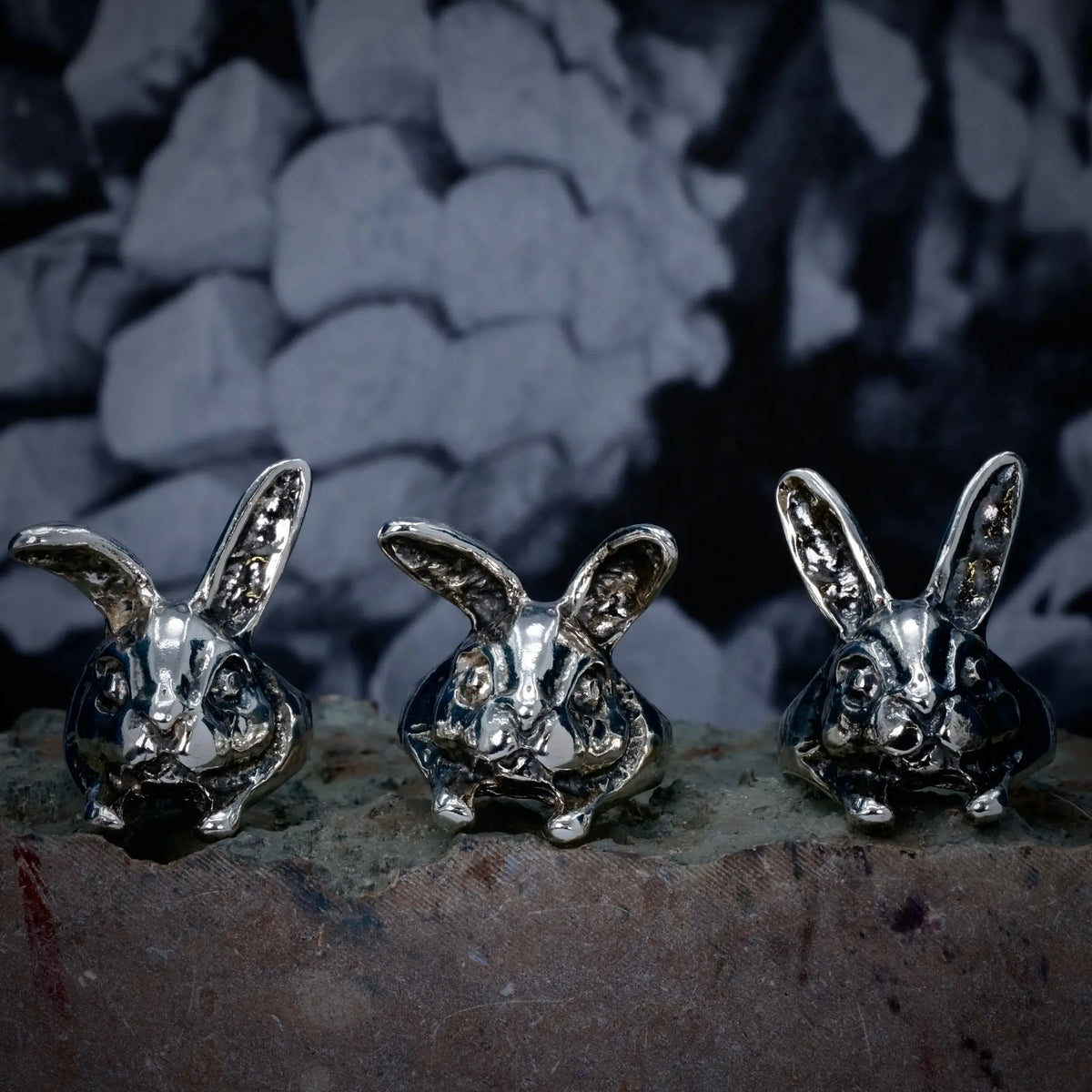 Bunny - Ring L8Hasselblad
