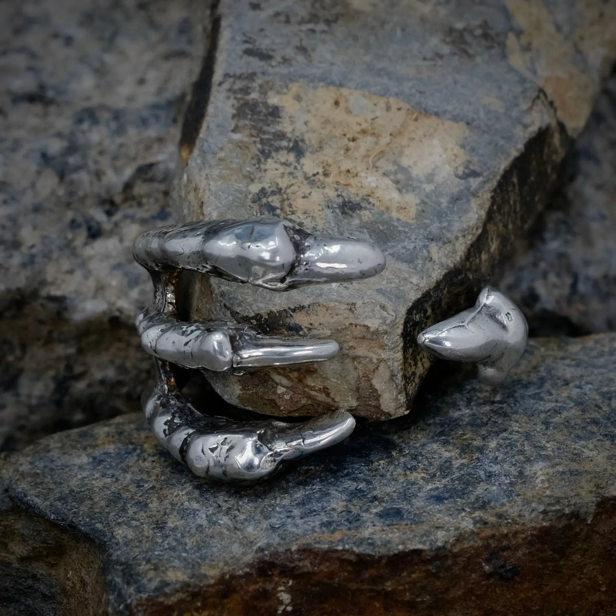 4 Claws - Ring L8Hasselblad