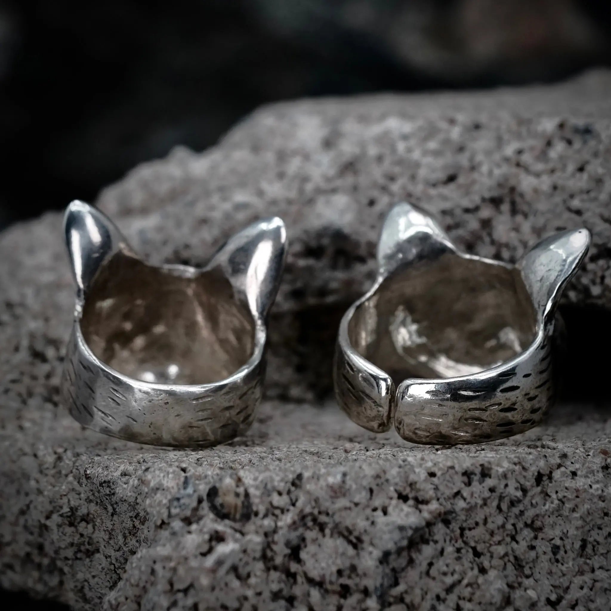 Catitude - Ring L8Hasselblad