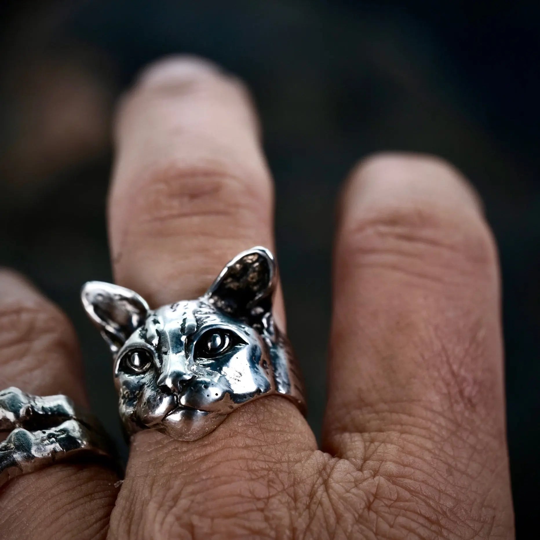 Catitude - Ring L8Hasselblad