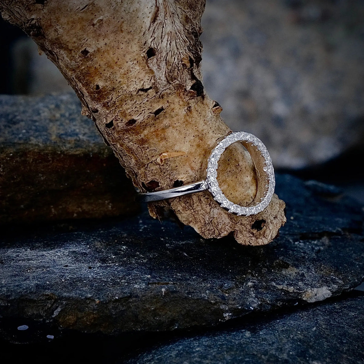 Celesta - Ring L8Hasselblad