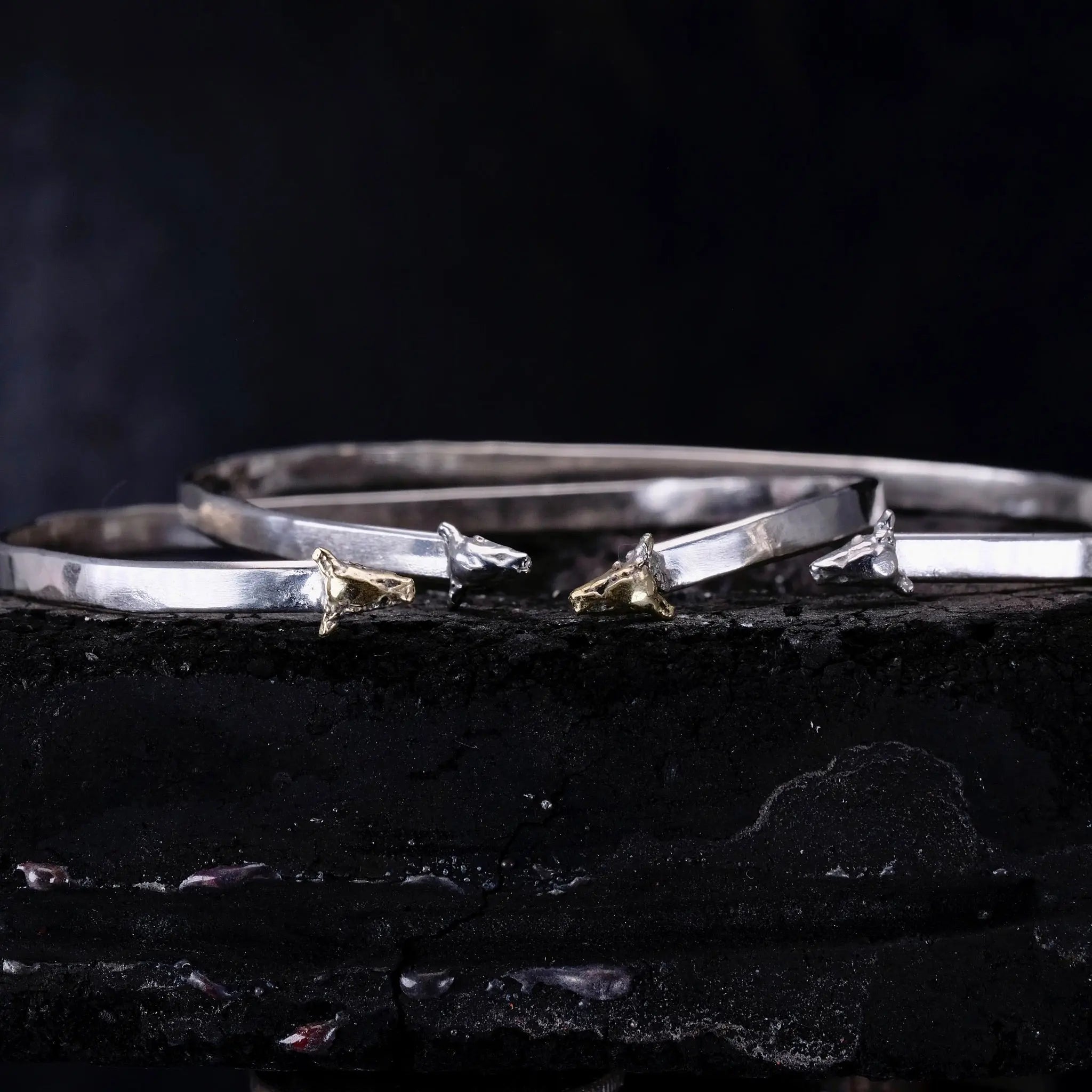 Cranium - Armband L8Hasselblad