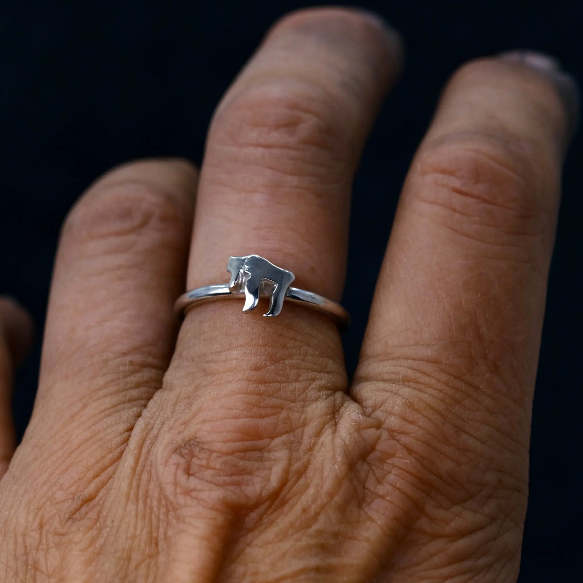 Chai - 2mm Ring L8Hasselblad
