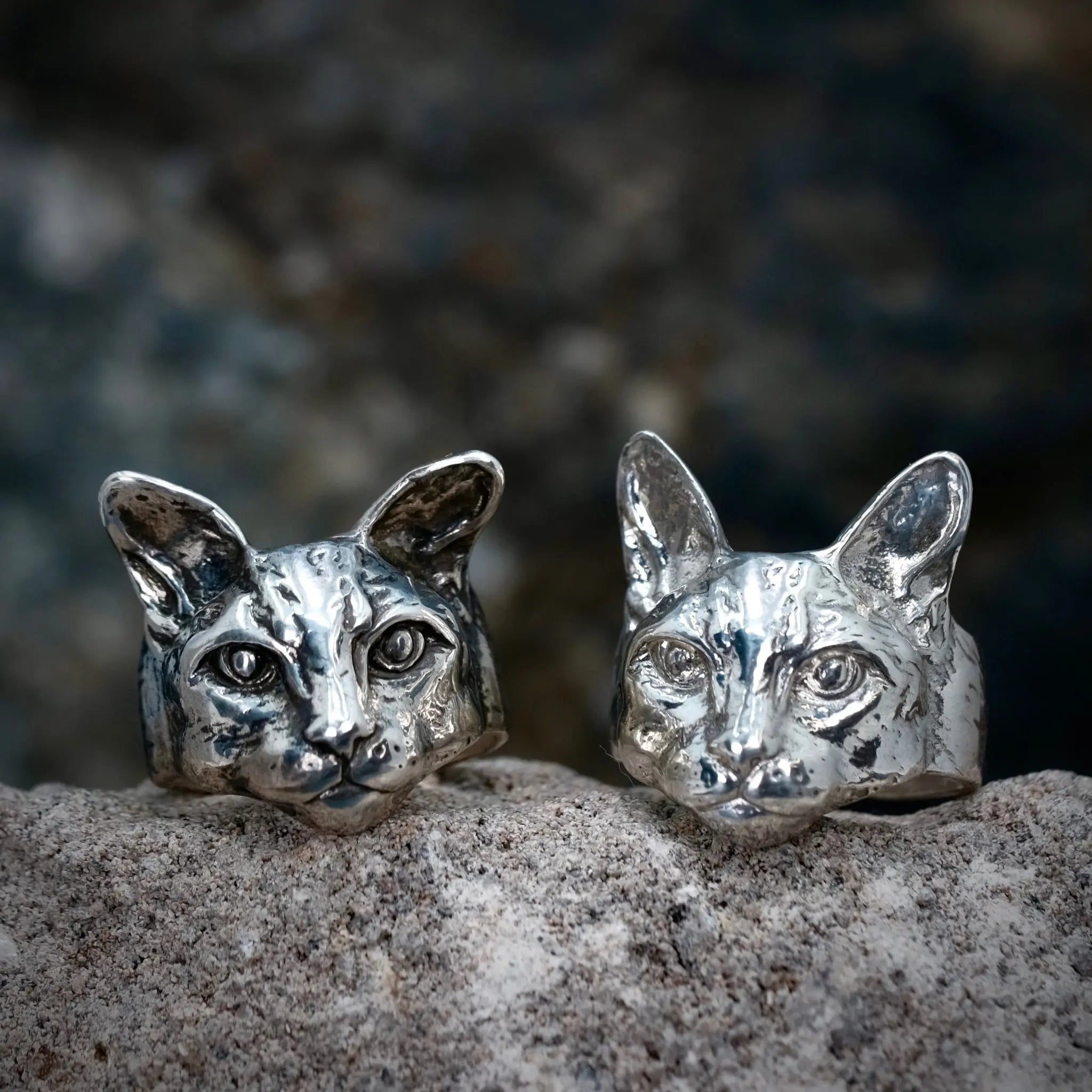 Catitude - Ring L8Hasselblad