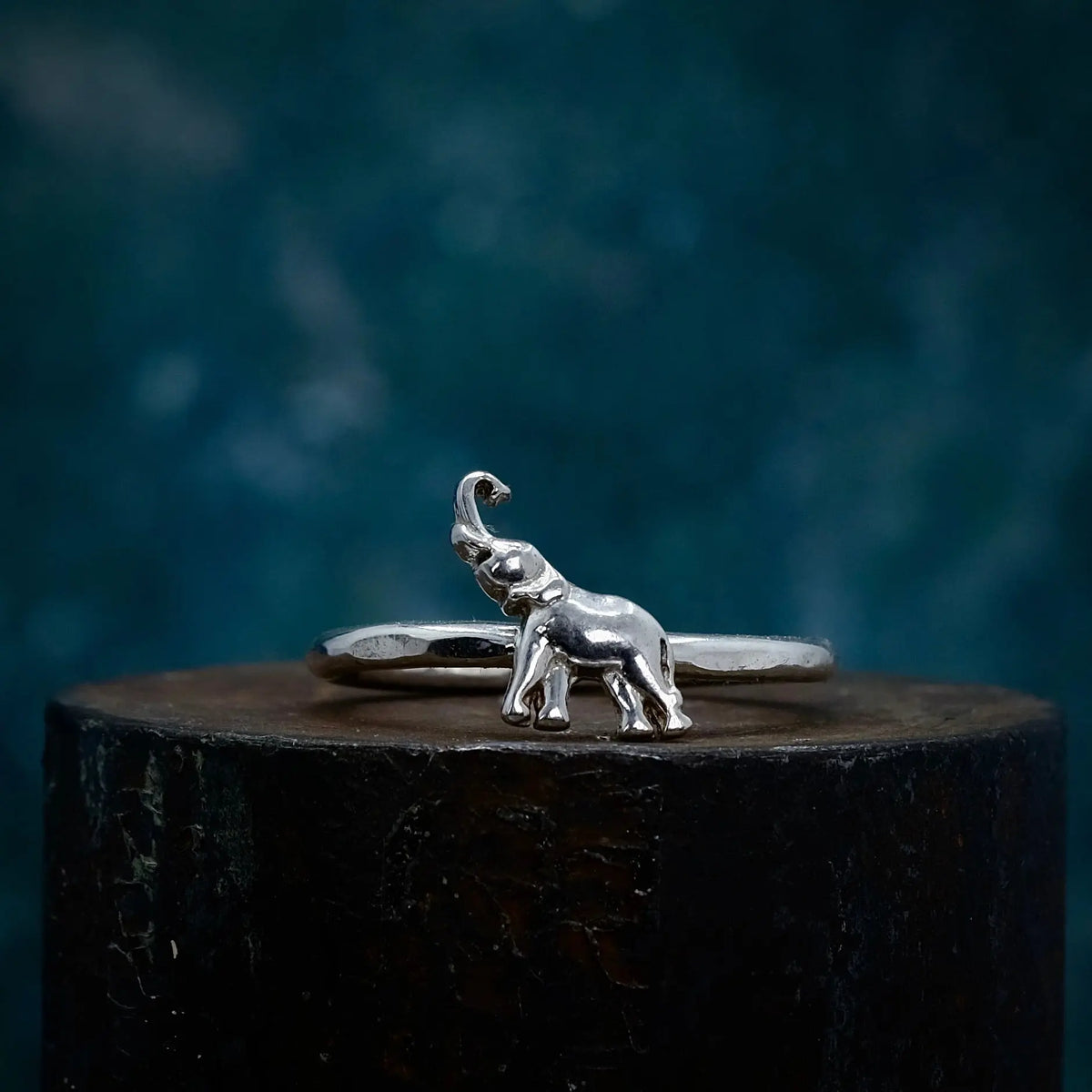 Elefanten - 2mm Ring L8Hasselblad