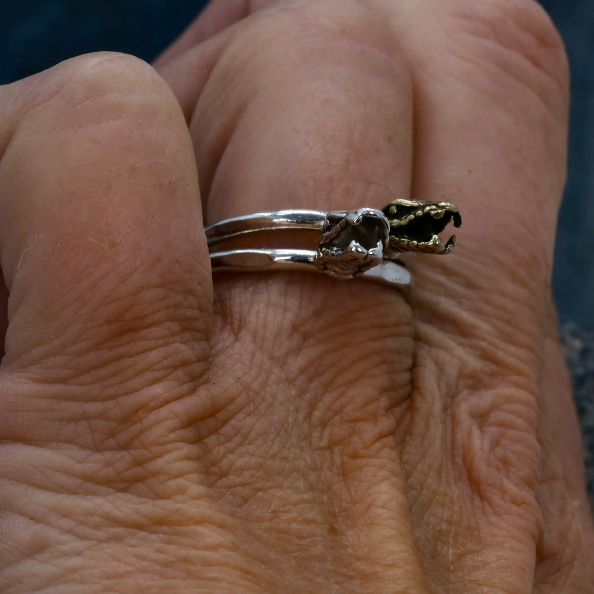 Ormring - 2mm Ring L8Hasselblad