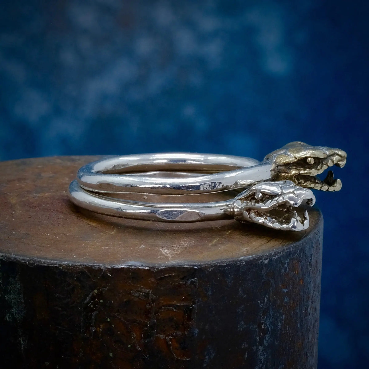Ormring - 2mm Ring L8Hasselblad