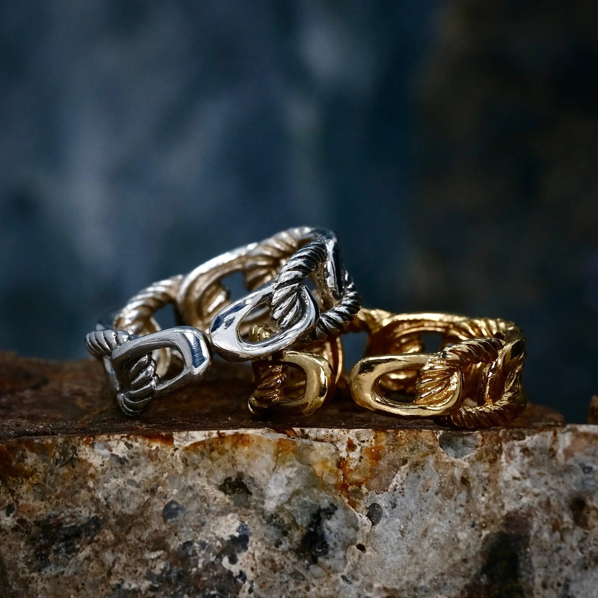Detaljerade Kedjan - Ring L8Hasselblad