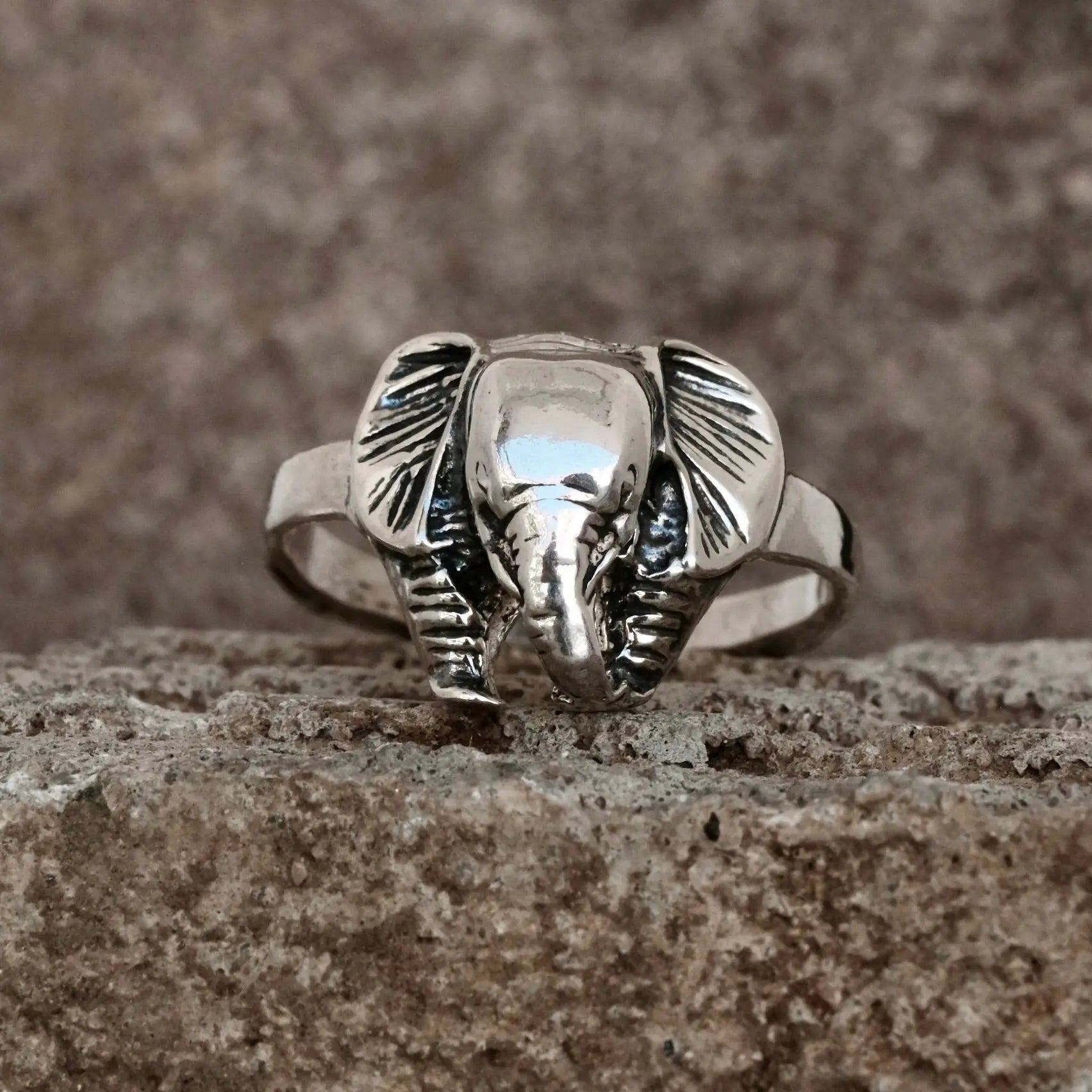Elefant - Ring L8Hasselblad