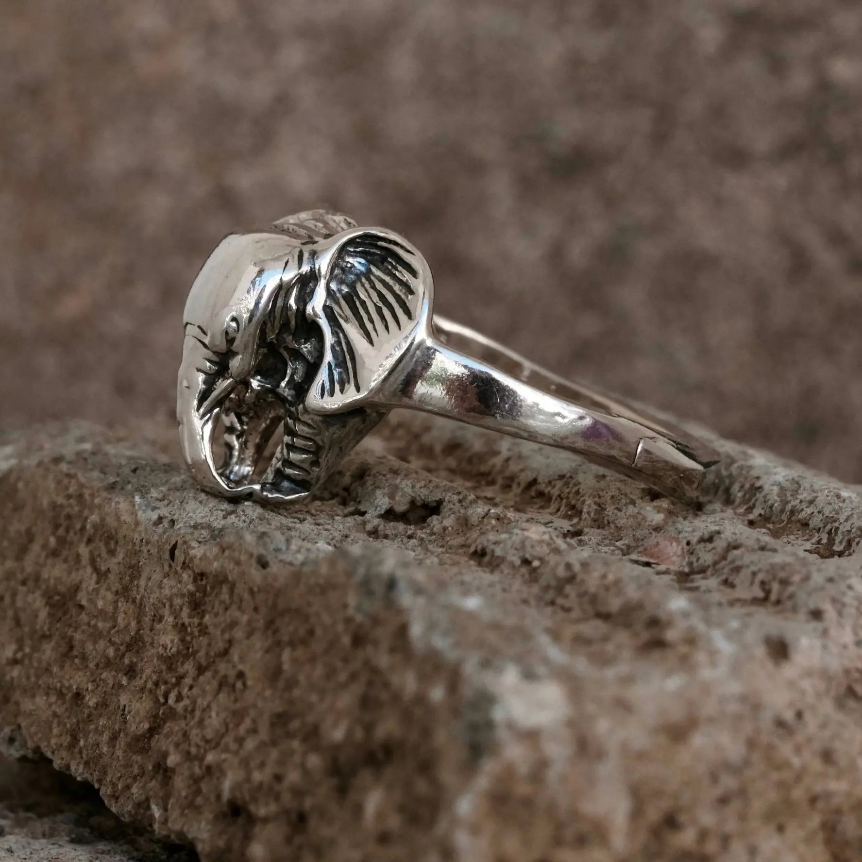 Elefant - Ring L8Hasselblad