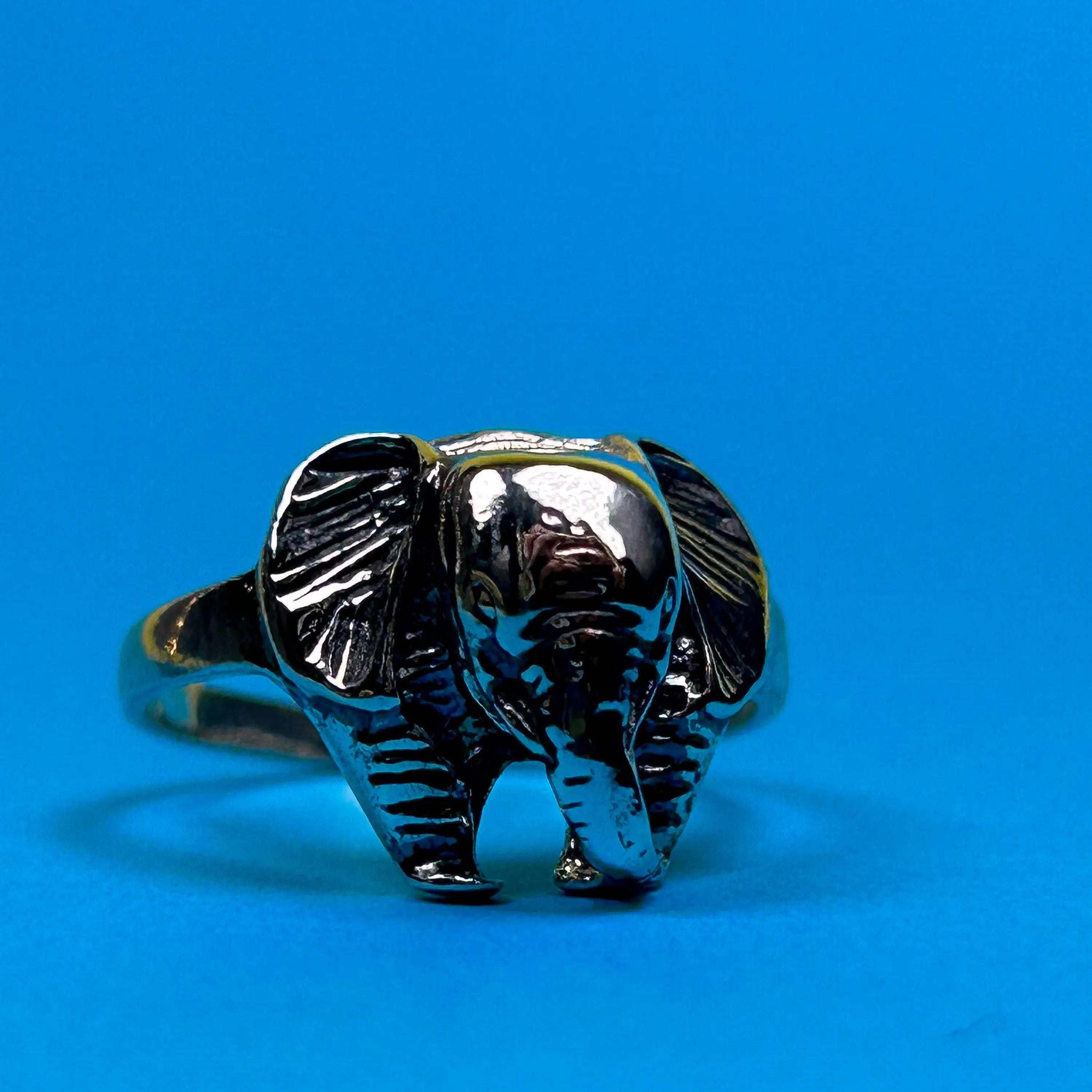 Elefant ring - L8Hasselblad