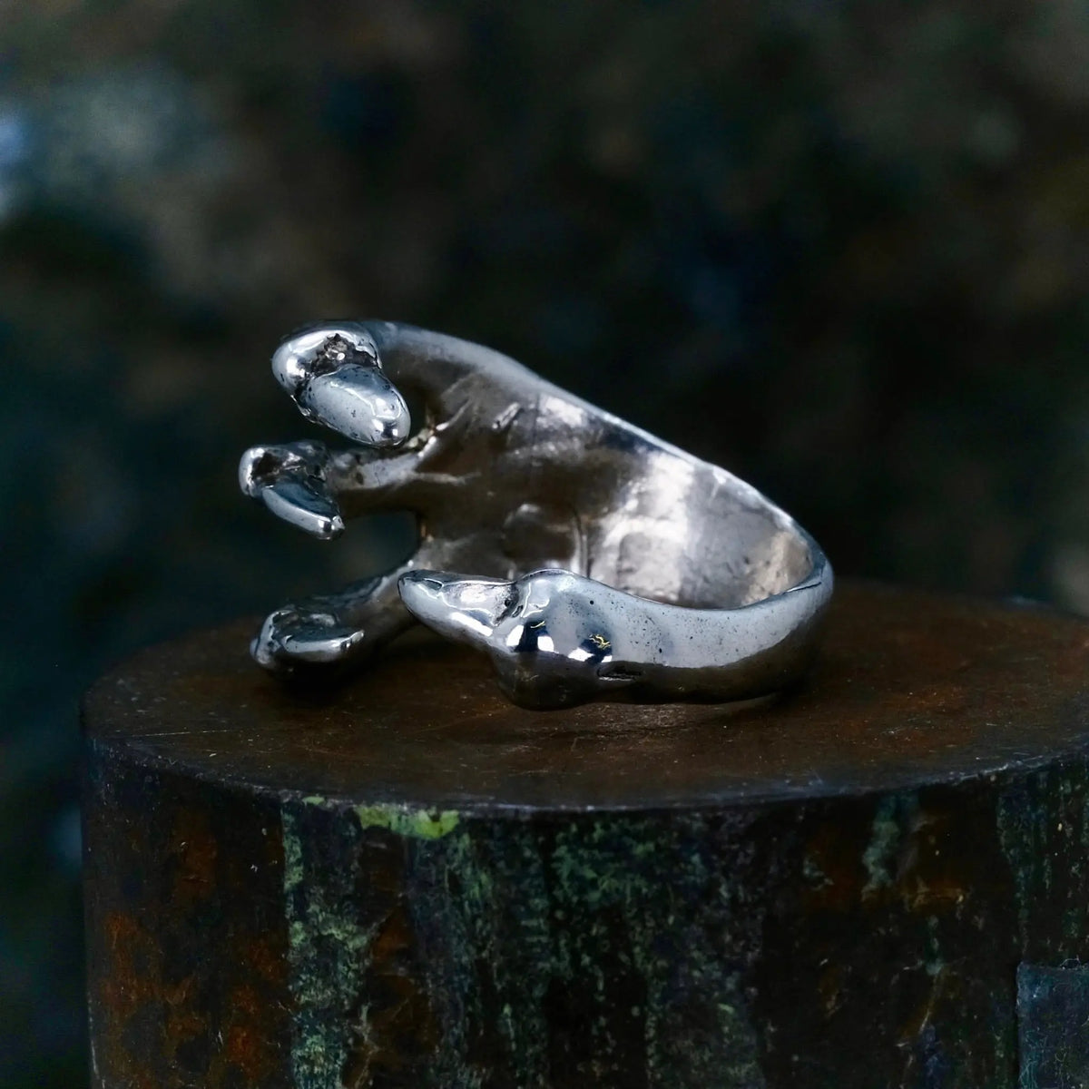 4 Claws - Ring L8Hasselblad