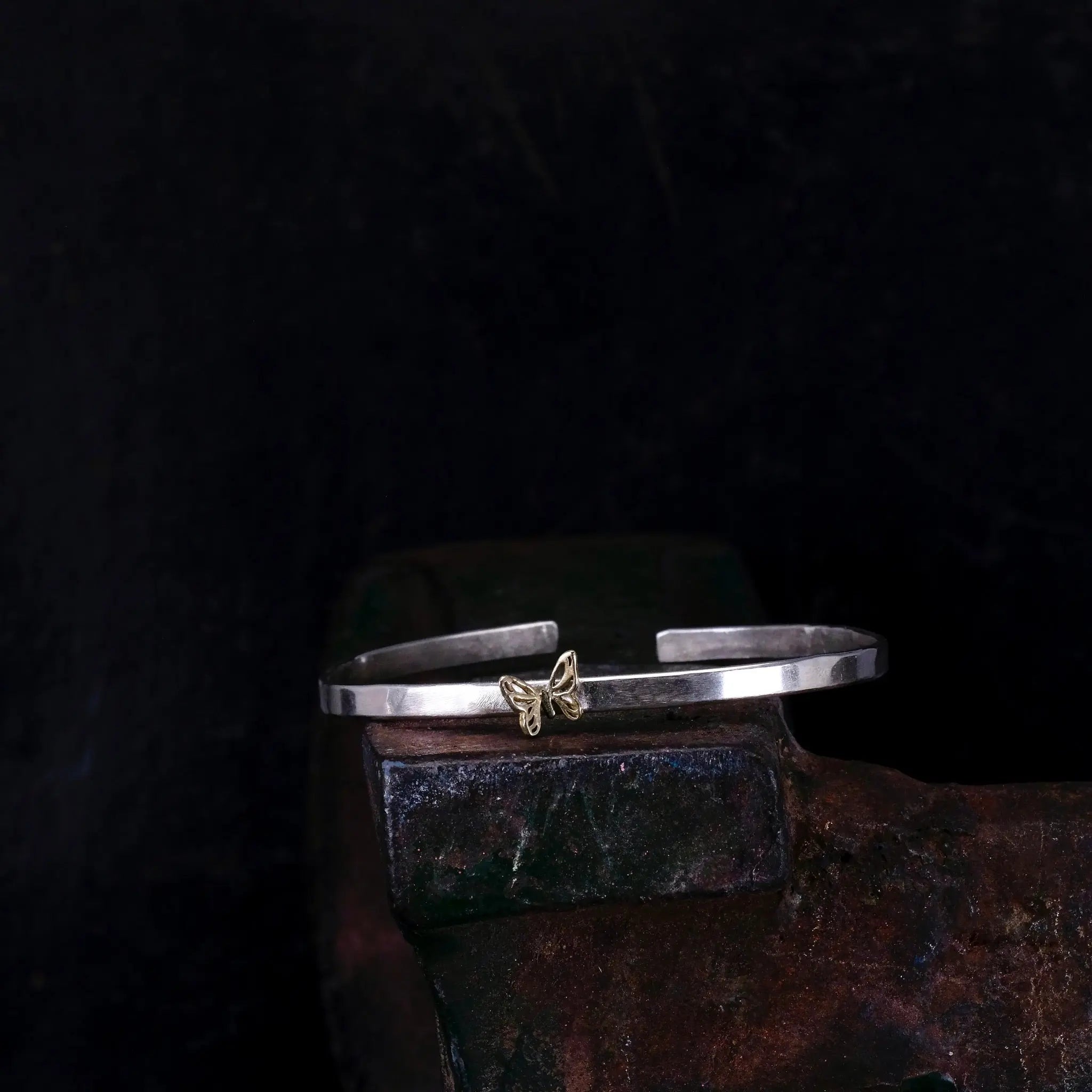 FRI - Armband L8Hasselblad