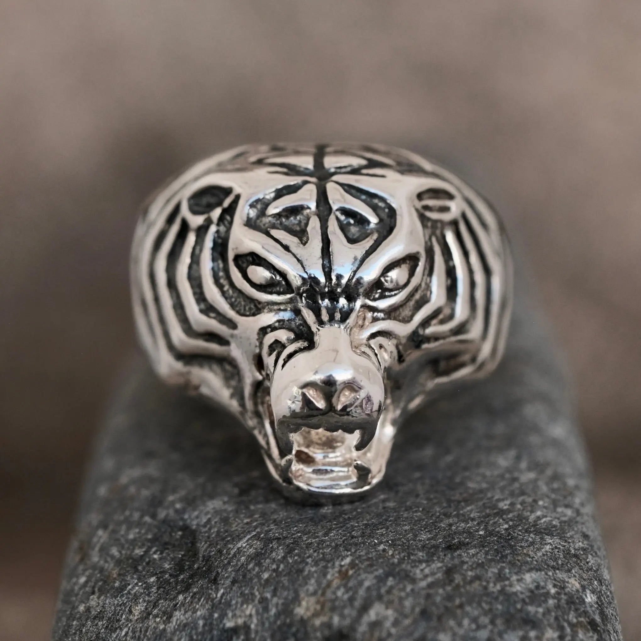 Farlig Tiger - Ring L8Hasselblad