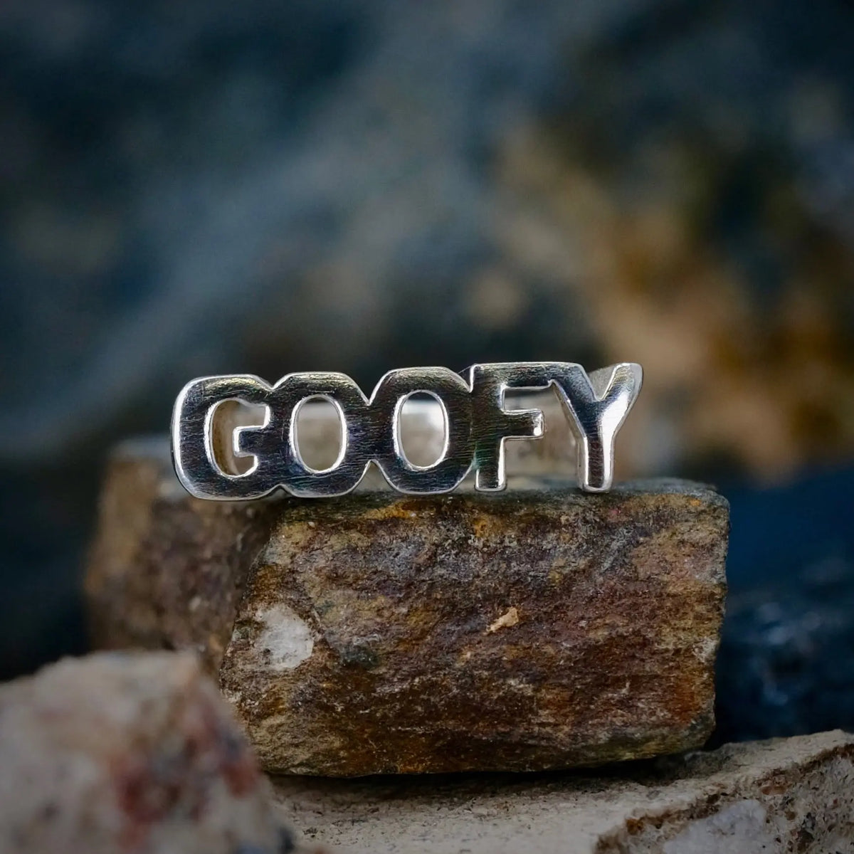GOOFY - Ordring L8Hasselblad
