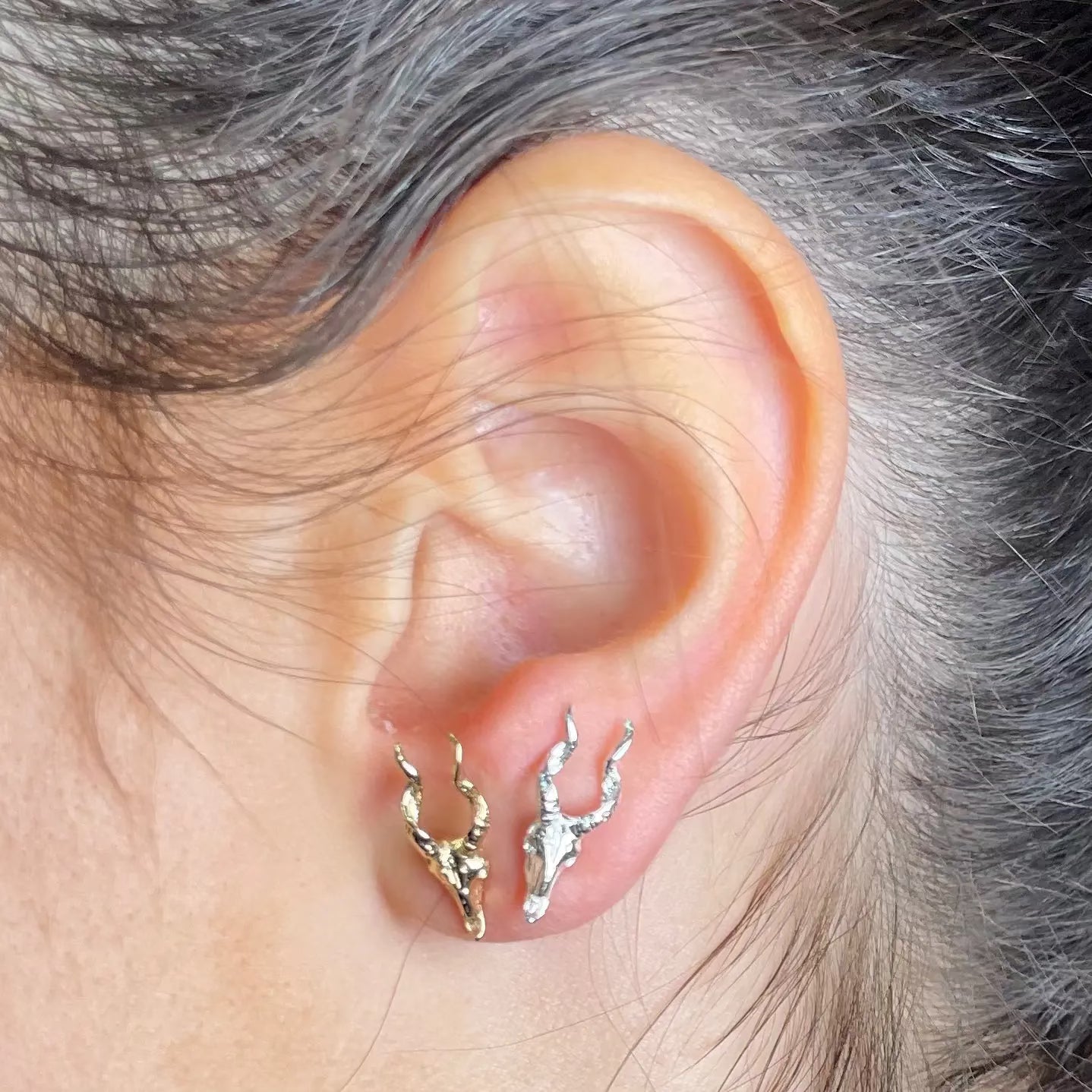 Stiftörhänge - Gasell L8Hasselblad