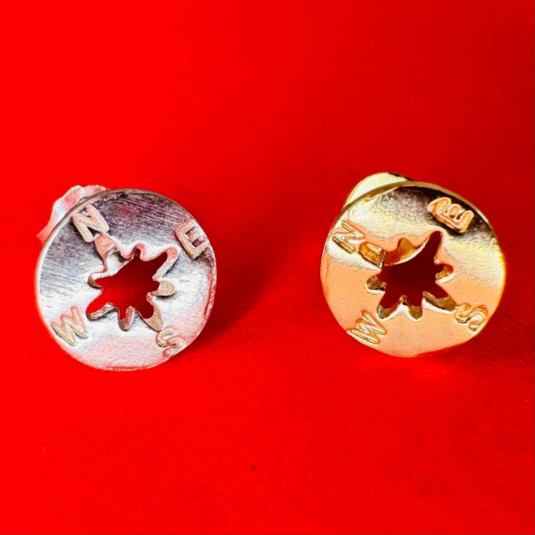 Stiftörhänge - Kompass L8Hasselblad