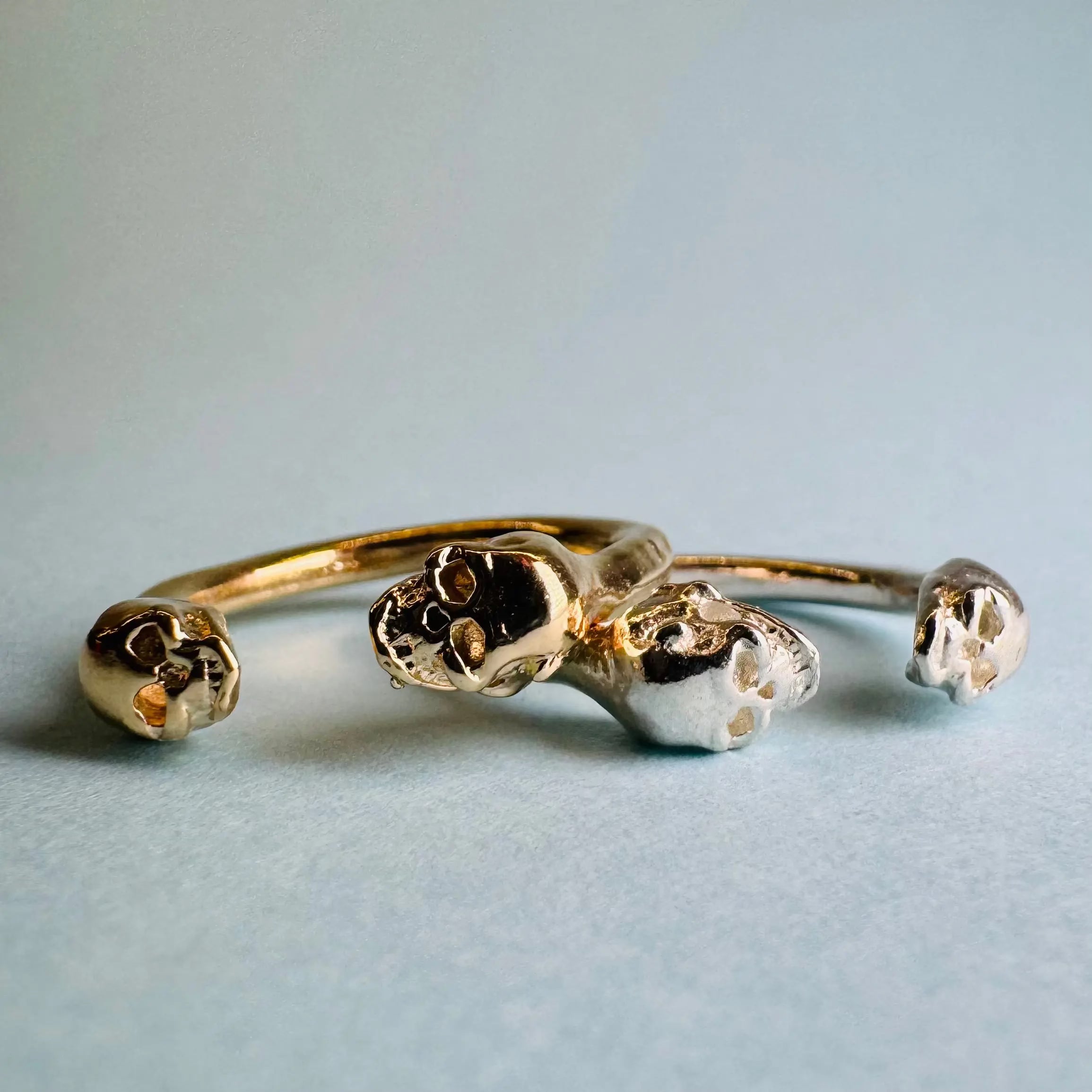 Öppen dödskallering L8Hasselblad