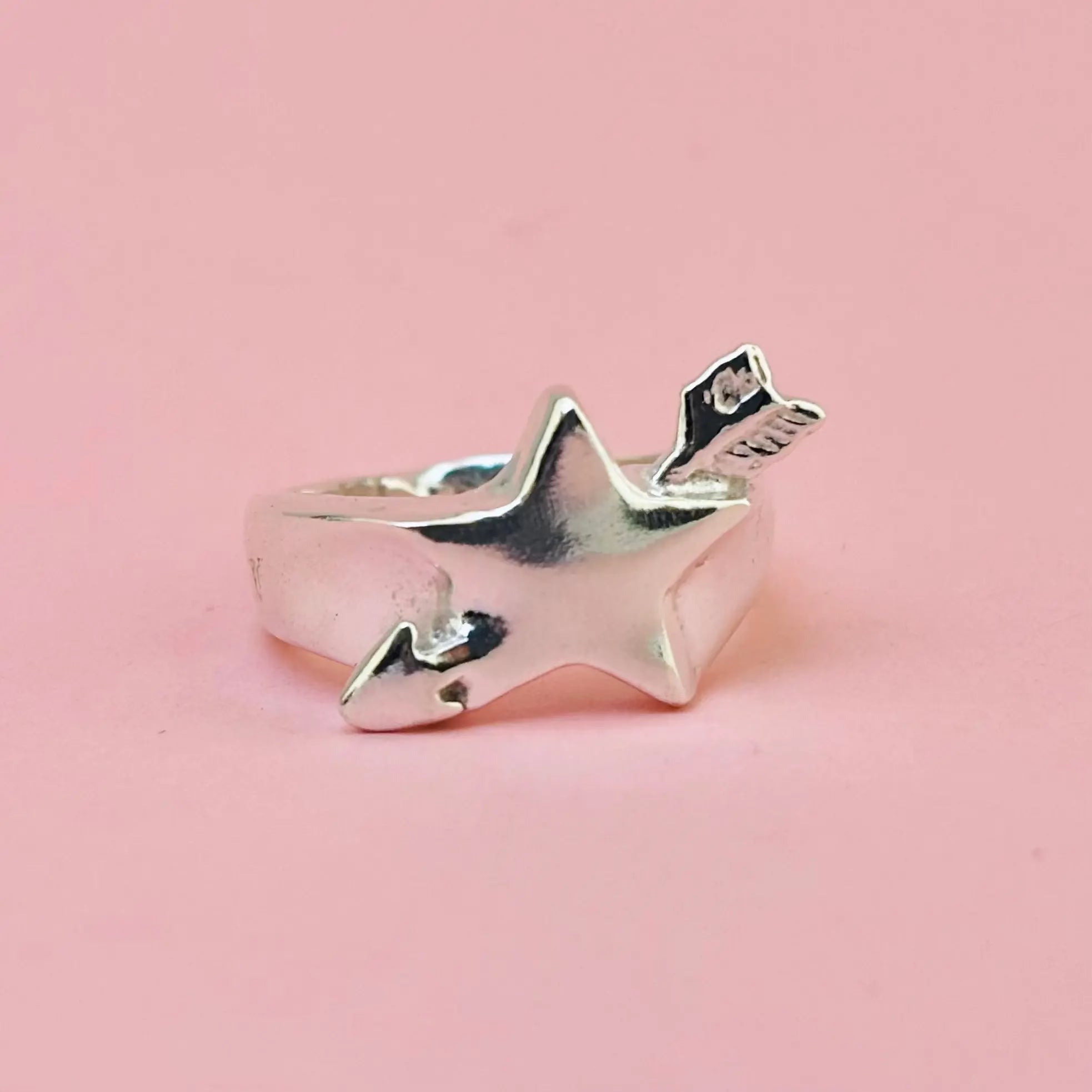 A wishing star ring L8Hasselblad