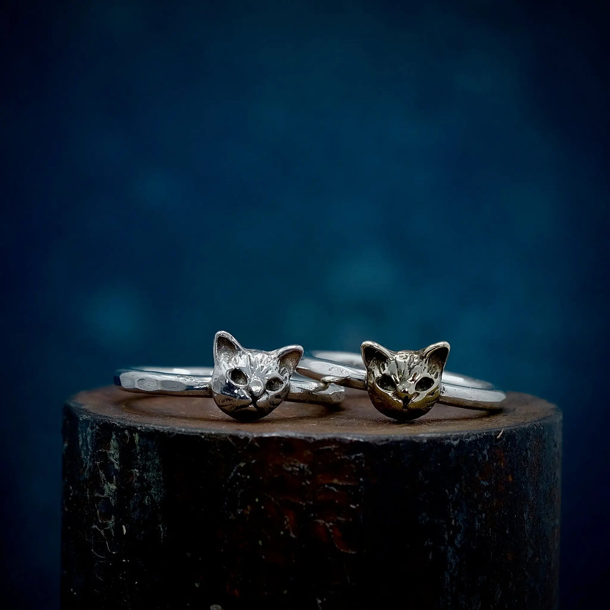 Katthuvud - 2mm Ring L8Hasselblad