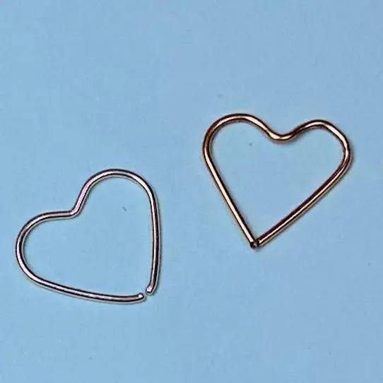 Läkörhängen - L8Hasselblad