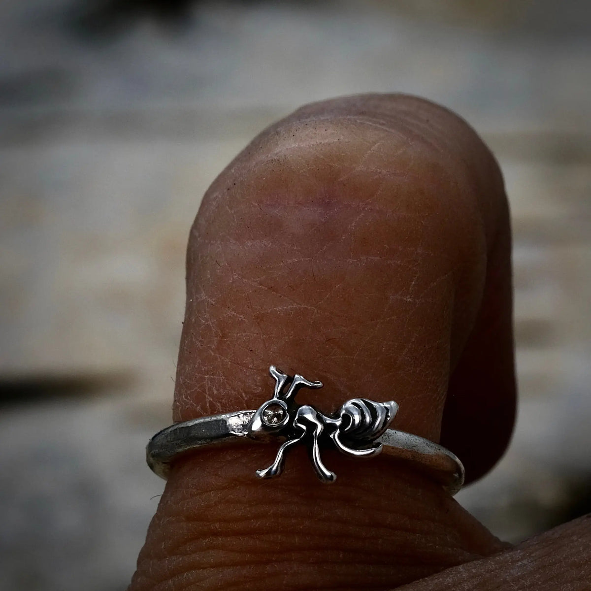 Myran - 2mm Ring L8Hasselblad