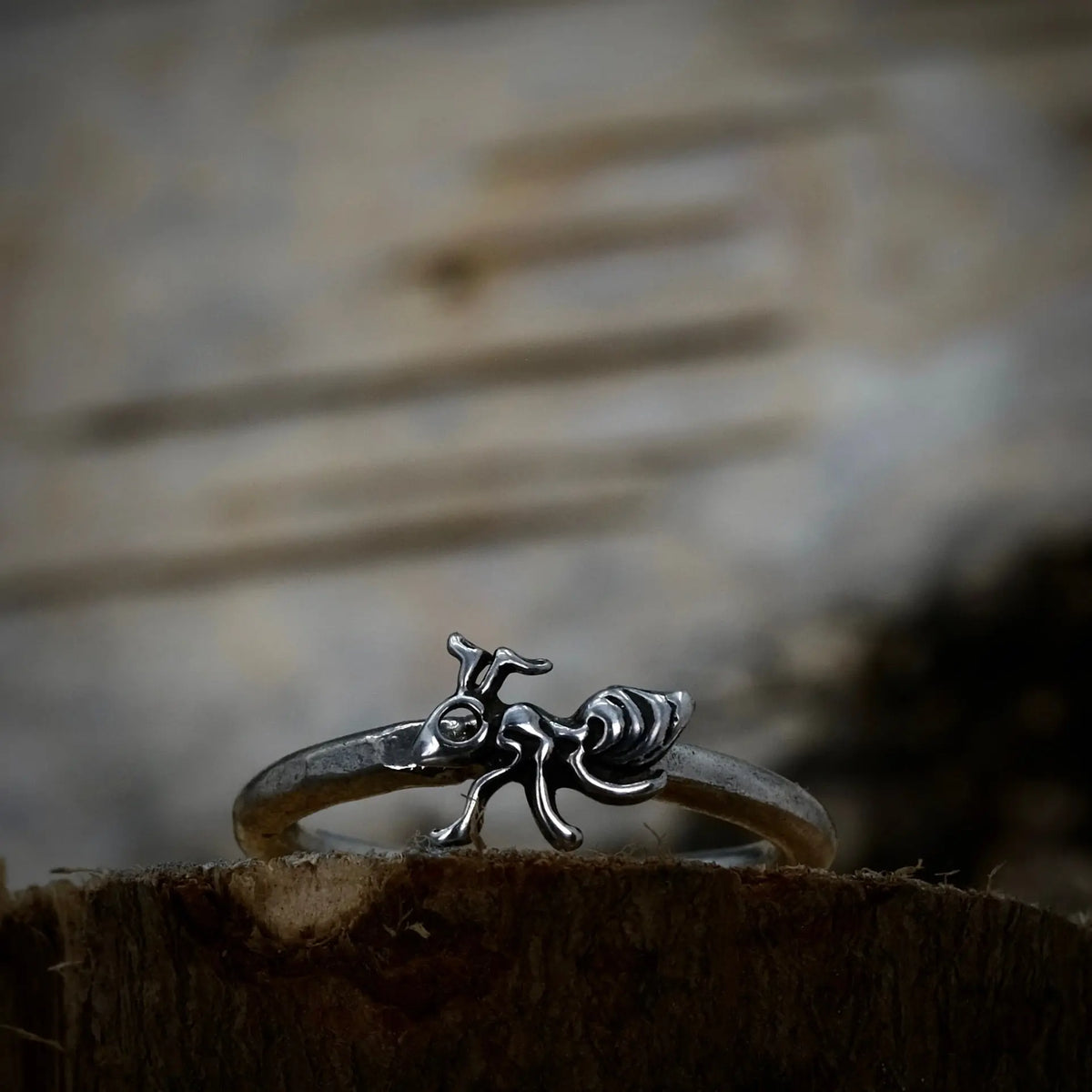 Myran - 2mm Ring L8Hasselblad