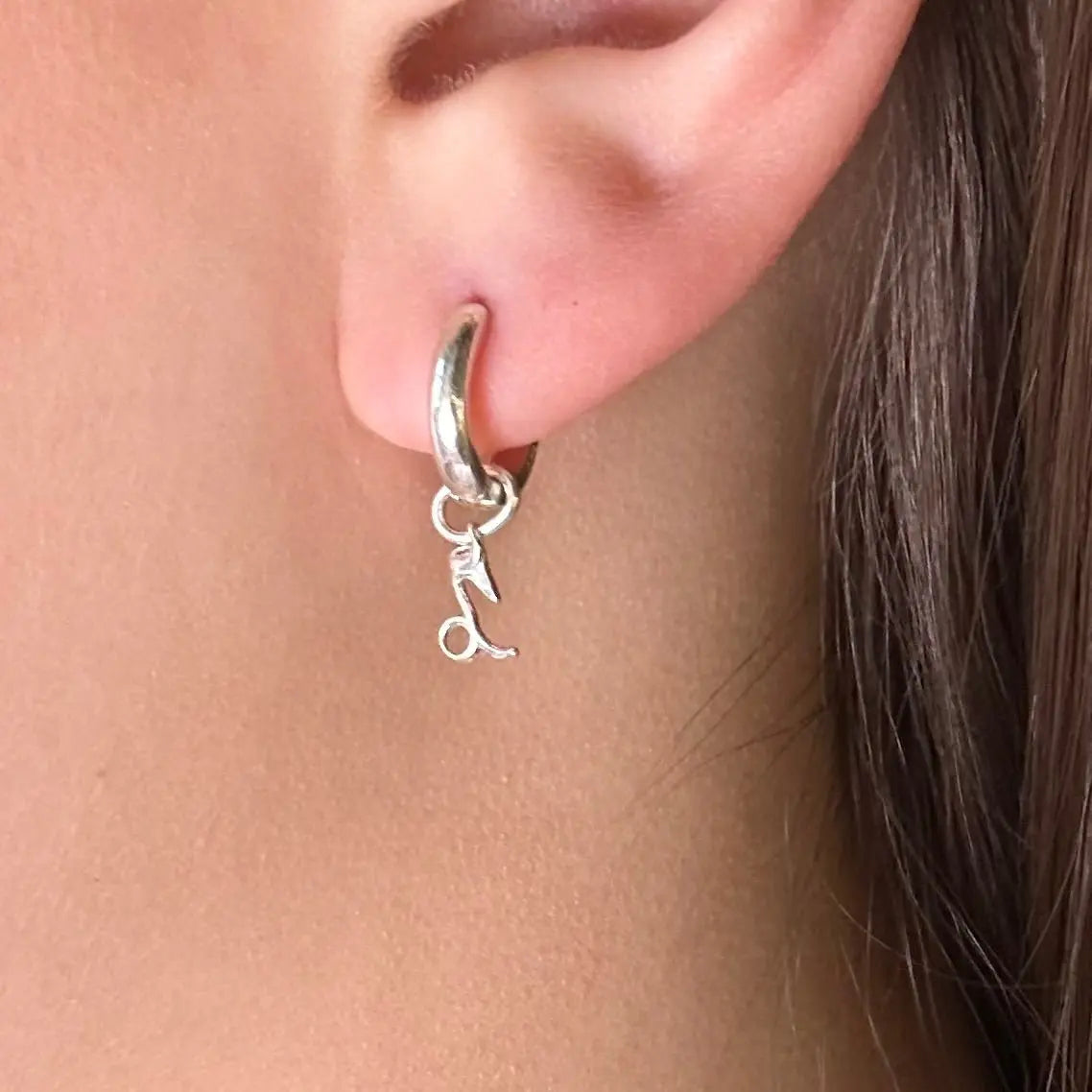 Örhänge - Stjärntecken - L8Hasselblad