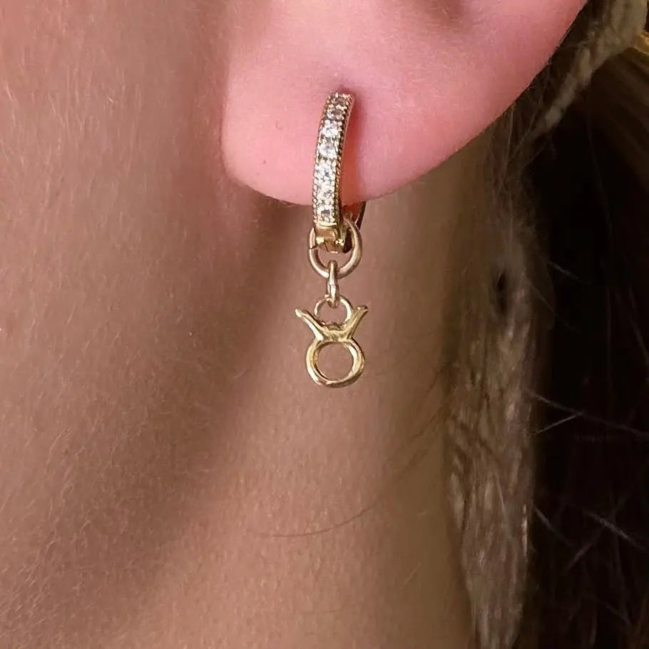 Örhänge - Stjärntecken - L8Hasselblad