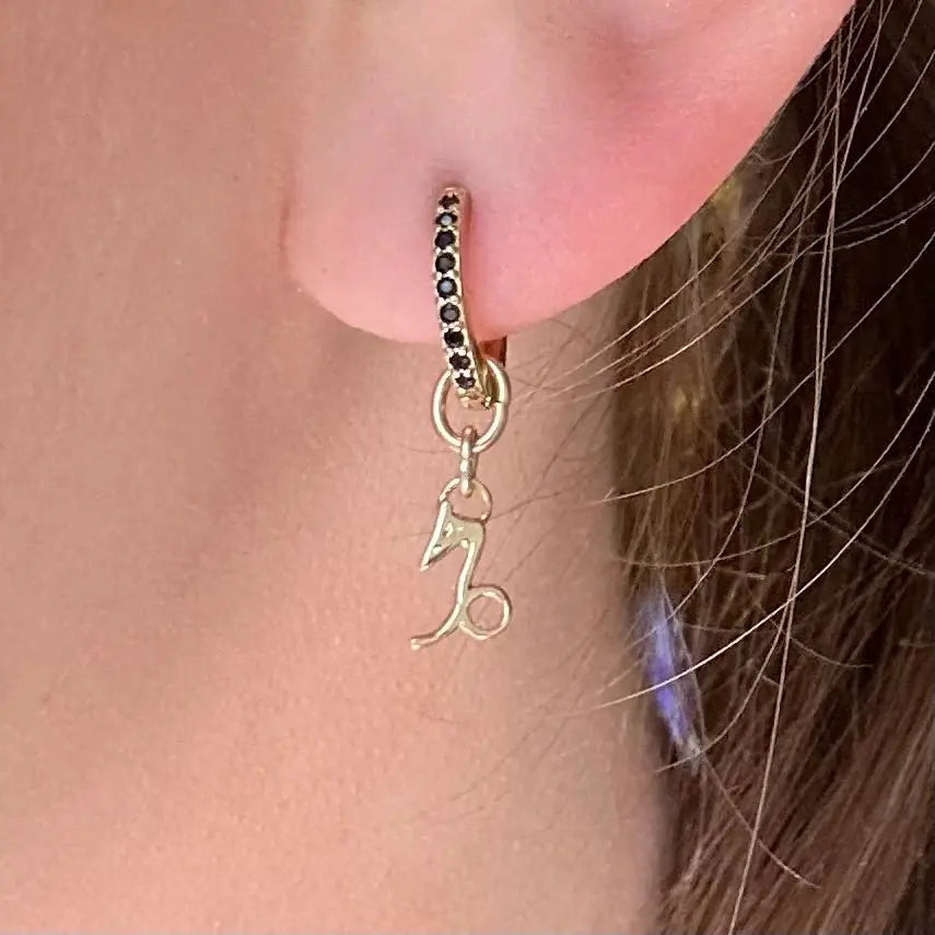 Örhänge - Stjärntecken - L8Hasselblad