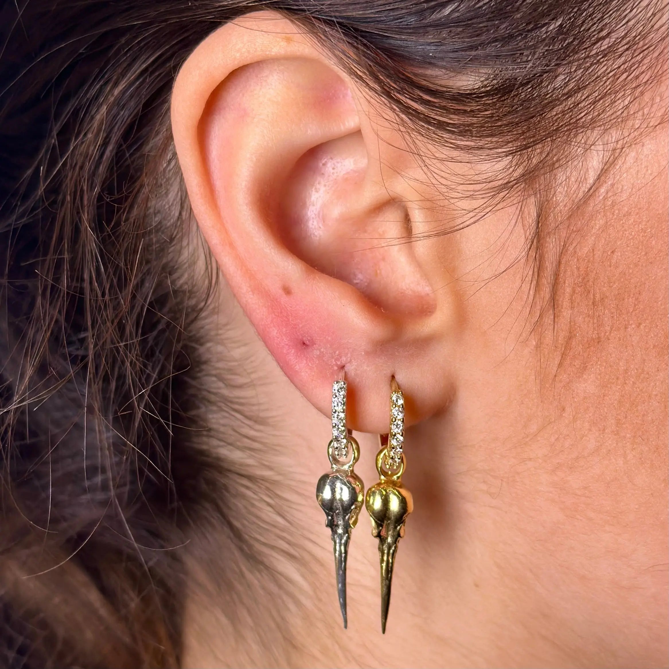 Örhängen - Fågelkranie - L8Hasselblad