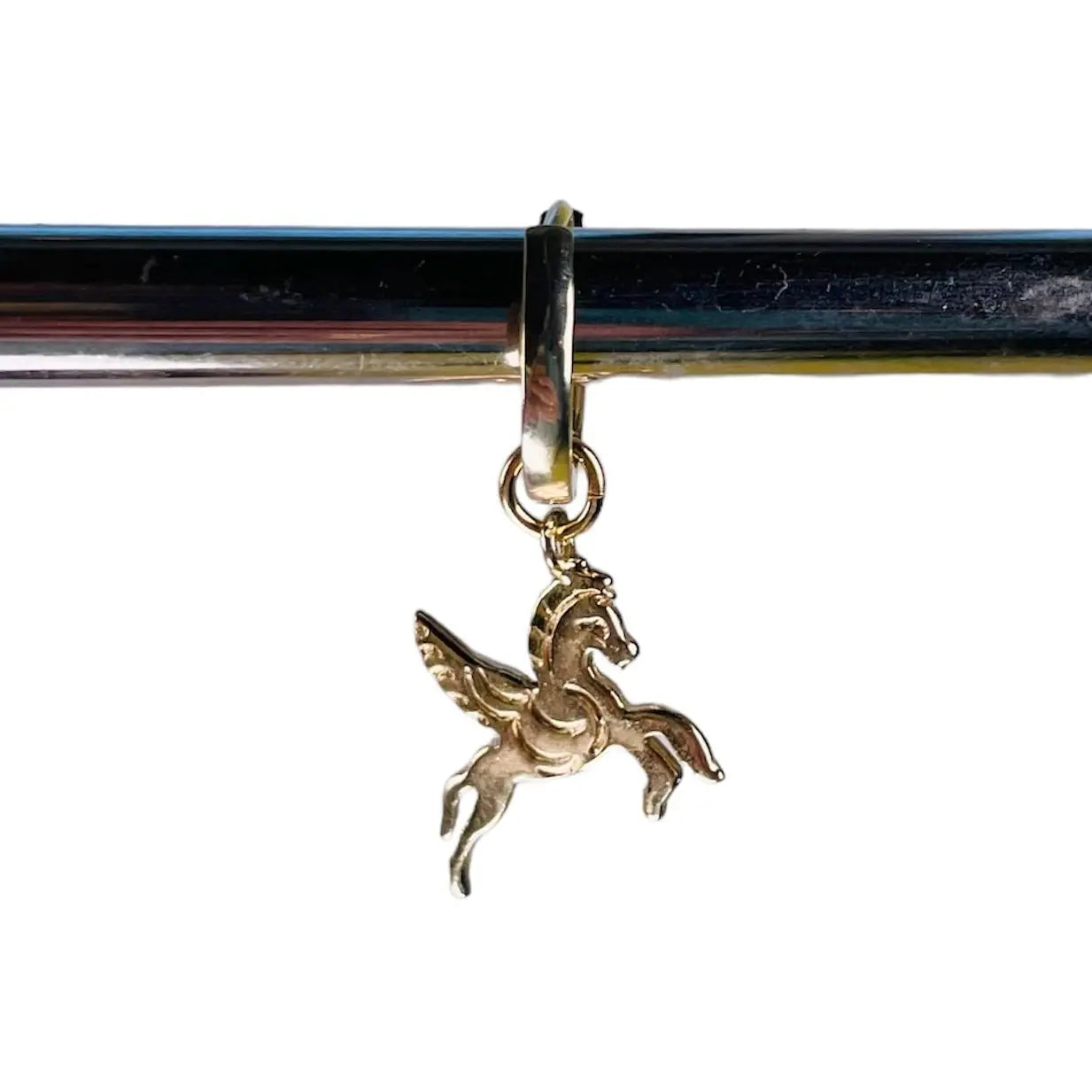 Örhängen - Pegasus - L8Hasselblad