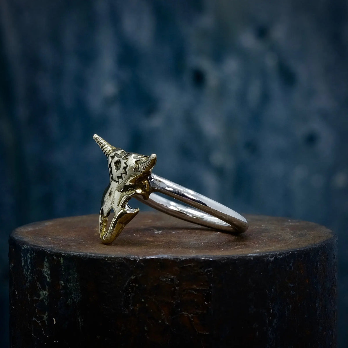 Oxkranium - 2mm Ring L8Hasselblad