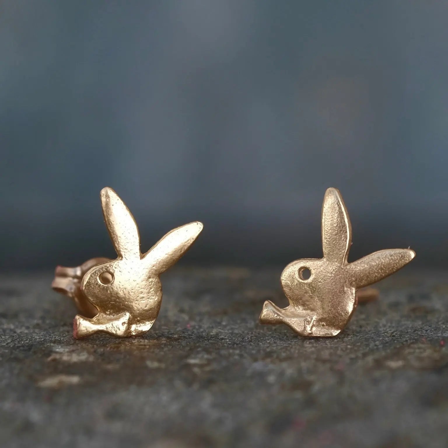 Playboy - Stiftörhänge L8Hasselblad