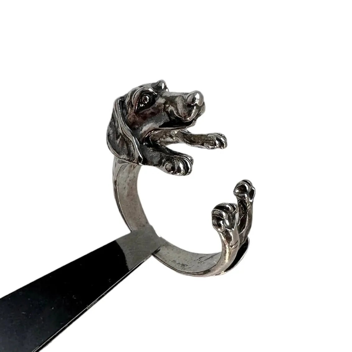 Ring - taxen - L8Hasselblad